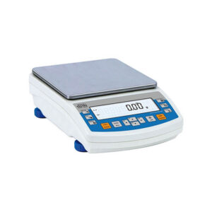 RADWAG PS6000R1